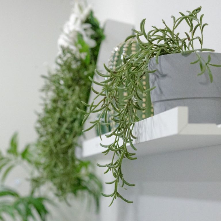 st albert office space wellness hub 4